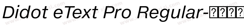 Didot eText Pro Regular字体转换